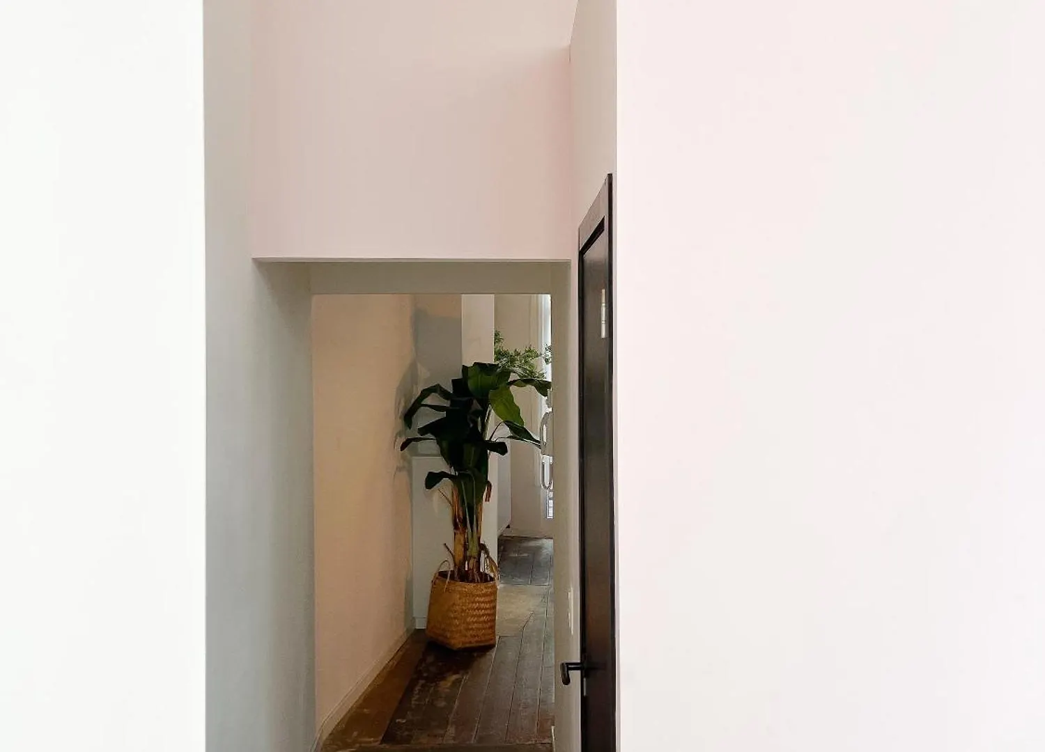 Appartement San Home'S Antwerpen België
